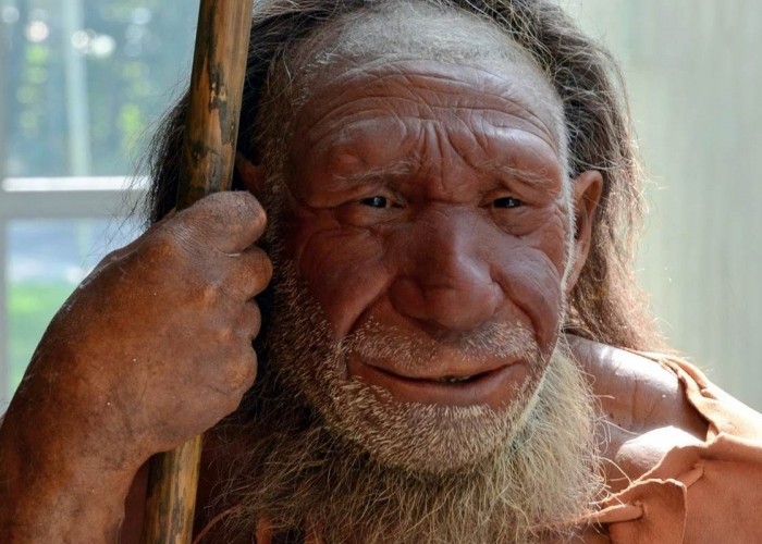 Орчин үеийн бүх хүн Неандерталь гентэй болохыг судлаачид харуулжээ