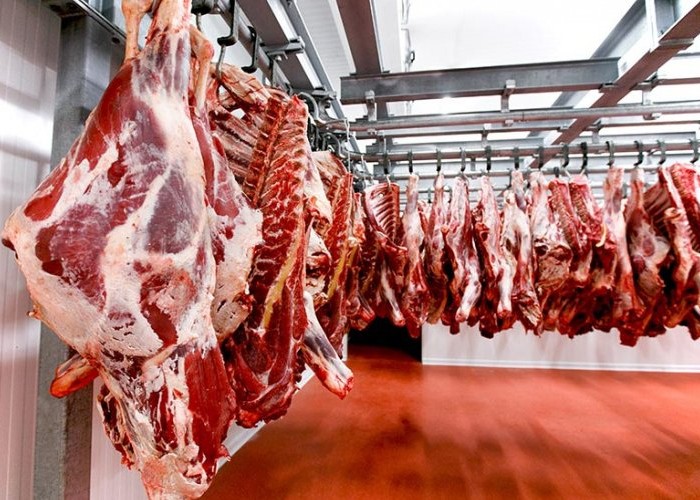 Монгол Улс 70,000 тонн малын мах экспортод гаргажээ