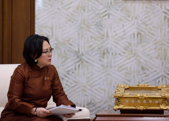 Хэлмэгдэгчдийг цагаатгуулах тухай өргөдөл, гомдол хүлээж авах, сунгах хуулийн төслийг өргөн мэдүүлэв