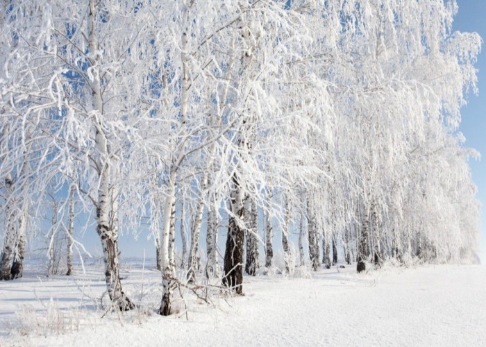 Өнөөдөр Алтай, Хангайн уулархаг нутгаар цас орно