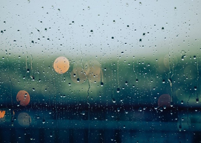 Нутгийн зүүн хагаст бороо орж, бусад нутгаар үүлшинэ