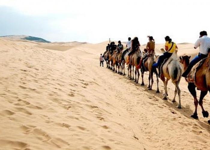 Монгол Улсад энэ оны нэг сараас өнөөдрийг хүртэл 600.699 жуулчин иржээ