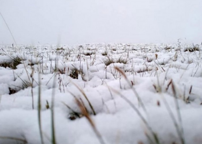 Зарим нутгаар нойтон цас орж, ихэнх нутгаар сэрүүснэ