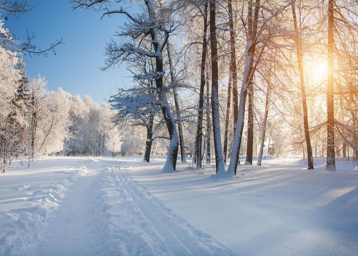 21-нийг хүртэл ихэнх нутгаар цаг агаар тогтуун, хүйтний эрч өдөртөө суларна