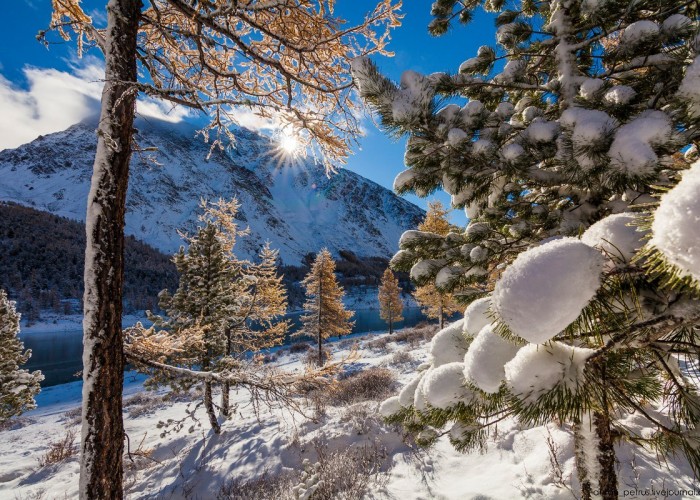 Нийт нутгаар цас орохгүй