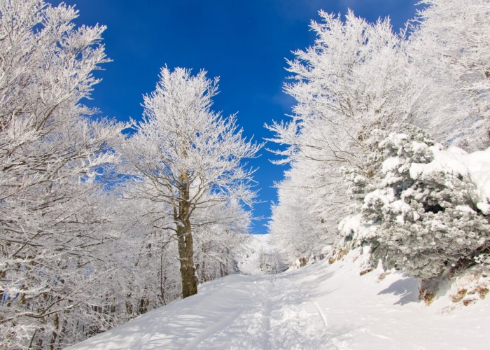 Өнөөдөр нийт нутгаар цас орохгүй, цаг агаар тогтуун байна