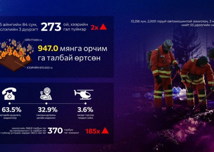 Түймрийн 32.9 хувийг сансрын дулааны цэгийн мэдээллээр, 3.6 хувийг нисдэг тэргээр илрүүлжээ