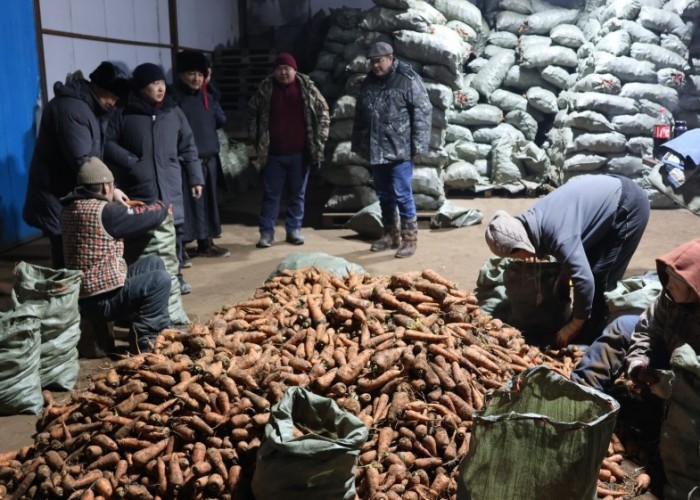 1200 тоннын багтаамжтай хүнсний ногооны зоорь барьж, ашиглалтад оруулав