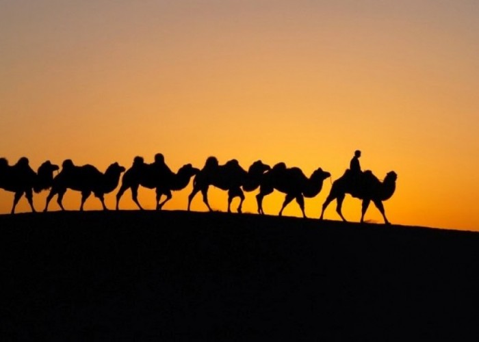 “Монгол тэмээний өдөрлөг” Лондон хотод болно