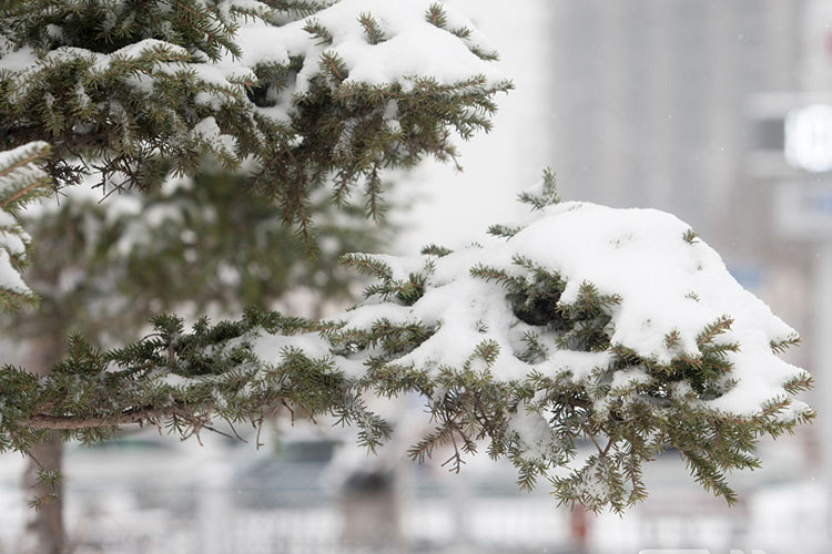 Өвөрхангай, Архангай, Булган, Төв аймгийн нутгаар ахиухан цас орно