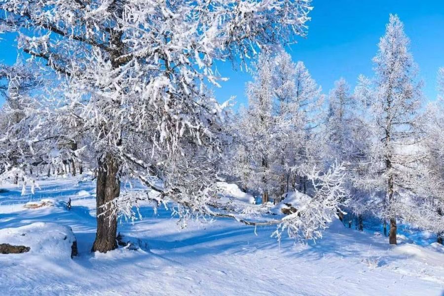 Монгол-Алтай, Хангай, Хөвсгөлийн уулархаг нутаг, Увс нуурын хотгороор цас орно
