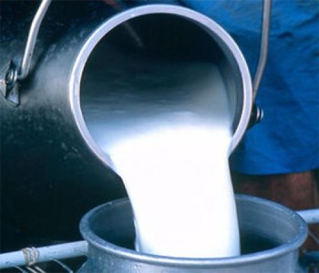 Ирэх онд нийслэлийн 1-5 дугаар ангийн 189 мянган хүүхдийг сүү хөтөлбөрт хамруулна