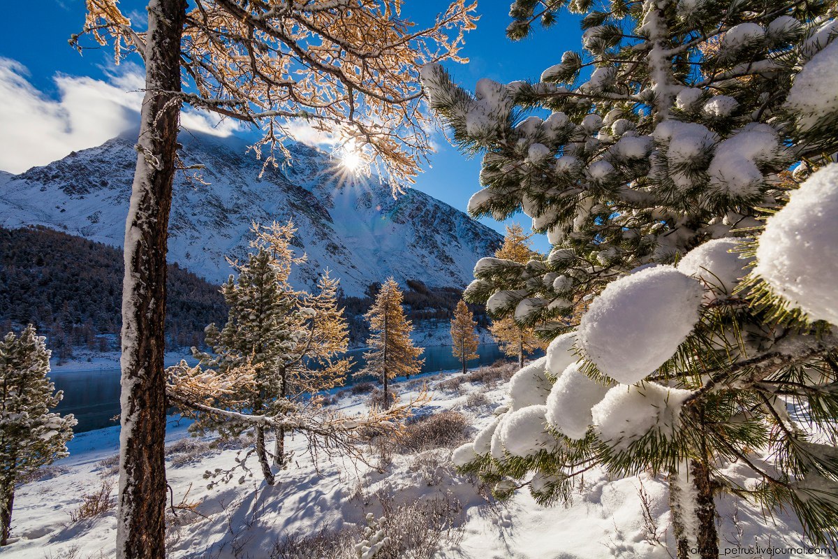 Нийт нутгаар цас орохгүй