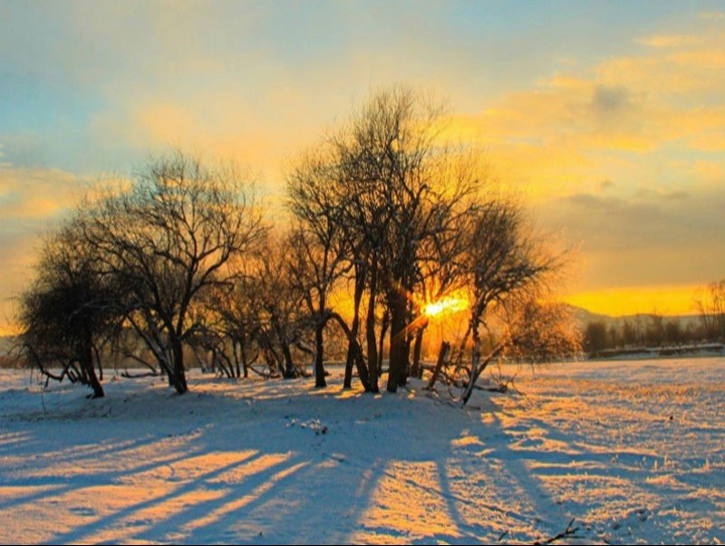 Өнөөдөр нийт нутгаар цаг агаар тогтуун, хүйтний эрч суларна