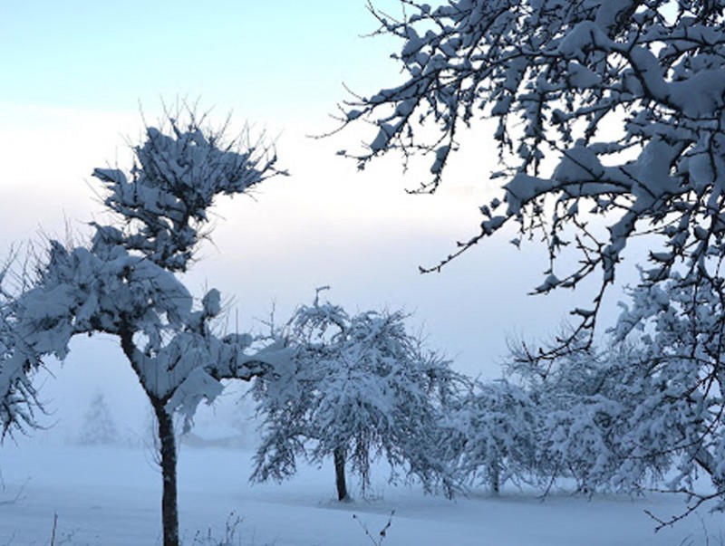 Өнөөдөр Хангайн уулархаг нутгаар бороо, нойтон цас орж, ихэнх нутгаар сэрүүснэ