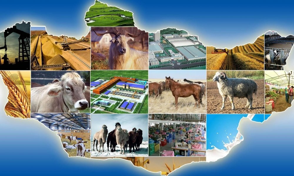 Хөдөө аж ахуйн салбарт 200 тэрбум төгрөгийн хөнгөлөлттэй зээл олгоно