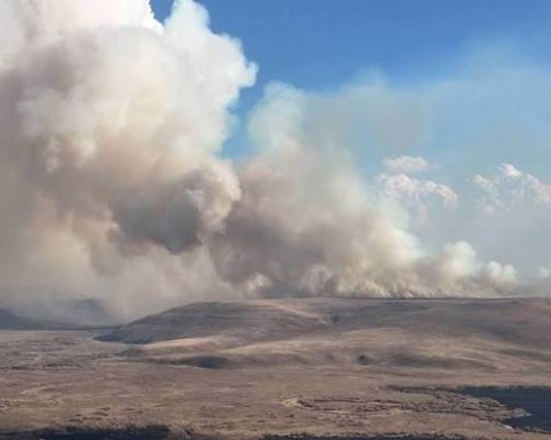 Хил хамгаалах ерөнхий газраас мэдэгдэл гаргалаа
