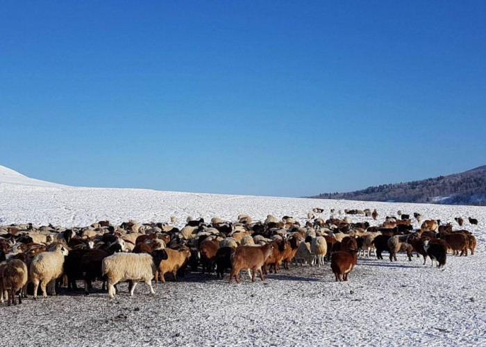 Зудтай аймгуудад яаралтай тусламж үзүүлэхээр боллоо
