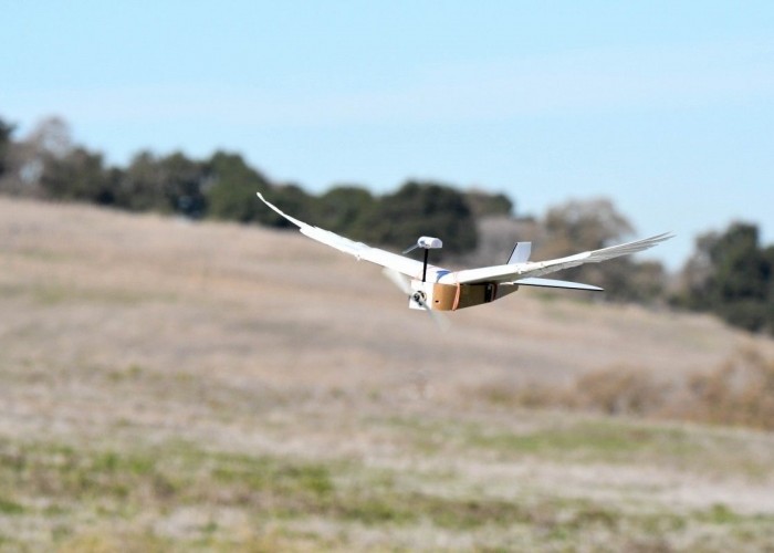 Стэнфордын судлаачид шувуу шиг өдтэй дрон бүтээжээ