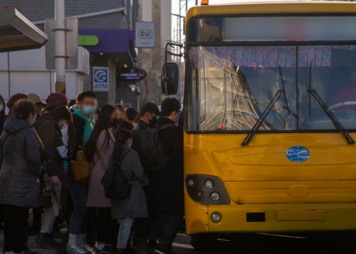 Оюутнууд нийтийн тээврийн автобусанд 250, троллейбусанд 100 төгрөг төлж зорчдог болно