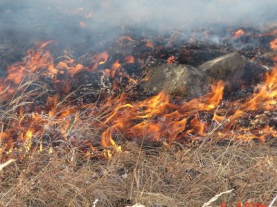 Ил задгай үнс асгаснаас түймэр дэгдэж, 200 га талбай шатжээ