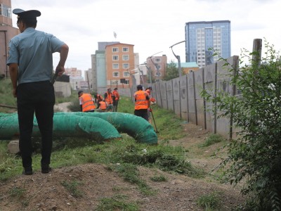 Нийслэлийн төвийн зургаан дүүргийн 24 байршлын шарилж, лууль устгах ажил өнөөдрөөс эхэллээ