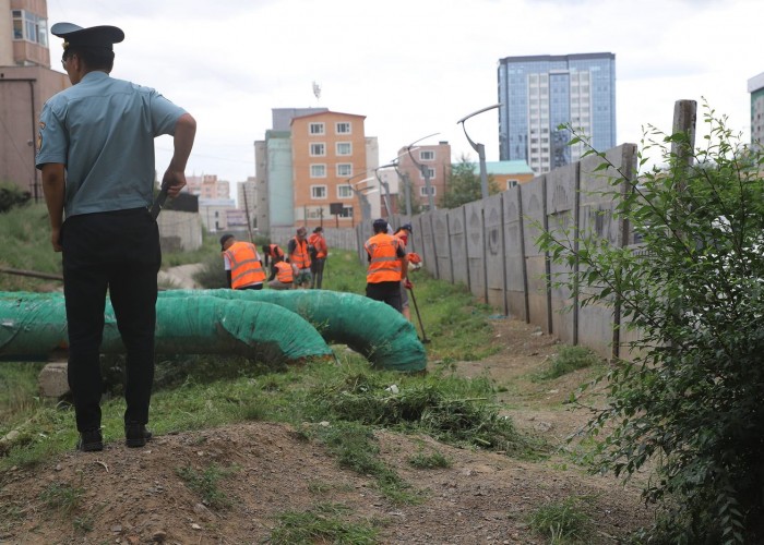 Нийслэлийн төвийн зургаан дүүргийн 24 байршлын шарилж, лууль устгах ажил өнөөдрөөс эхэллээ