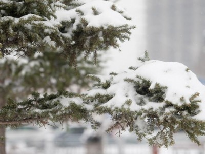 Улаанбаатар хотод -26 градус хүйтэн байна