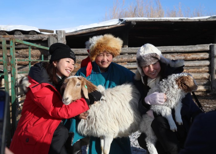 Жуулчинд зүсэлсэн хонь бүрийг "Хөх сүрэг" апп-д бүртгэдэг
