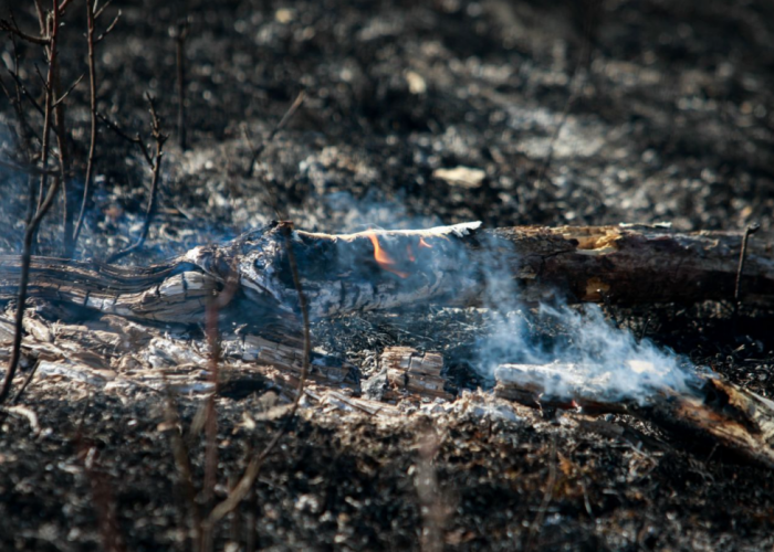 Хөвсгөл аймгийн Жаргалант суманд ой хээрийн түймэр гарч, ойролцоогоор хоёр га талбай өртжээ
