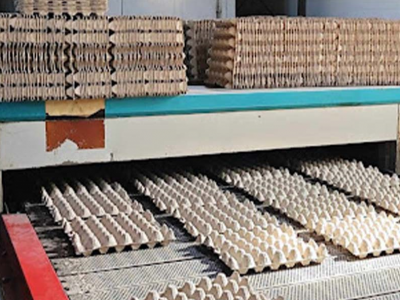 Үйлдвэрт нь гал гарсан “Баян”-д “Түмэн шувуут” компани 50 мянган өндөгний цаасан үүр хандивлажээ