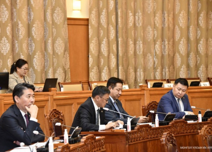 Хүүхдийн 100,000 төгрөгийг олгохдоо өрхийн орлогыг хэрхэн тооцоолсноо танилцууллаа