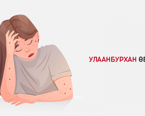 Улаанбурханы 55 тохиолдол бүртгэгдлээ