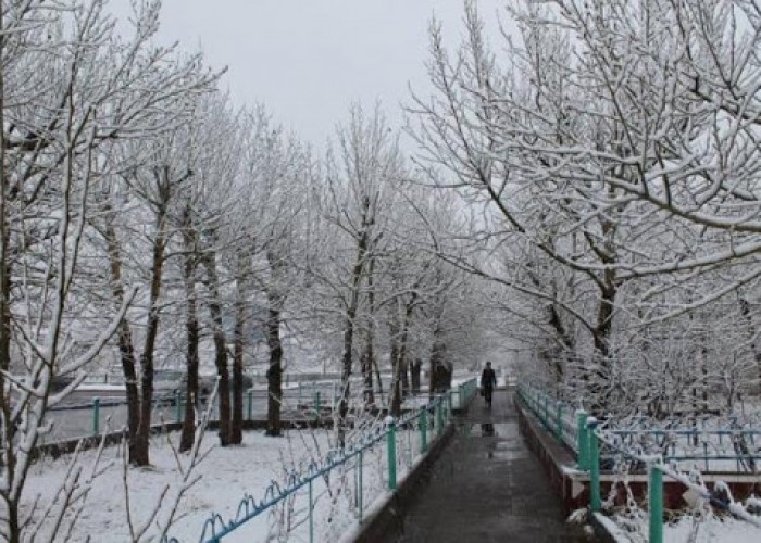 Ихэнх нутгаар хүйтэрч, цасаар шуурна