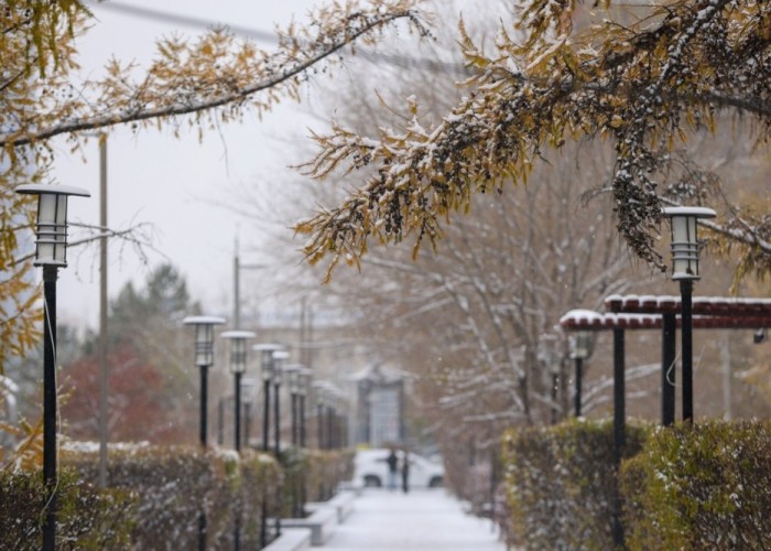 Өвлийн цагийн хуваарьт шилжих шийдвэр гараагүй
