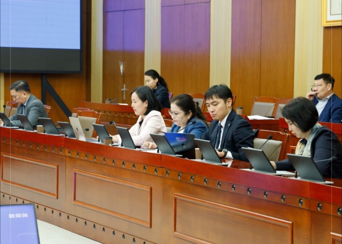 Төр, хувийн хэвшлийн түншлэлийн тухай хуульд ямар өөрчлөлт орох бэ?