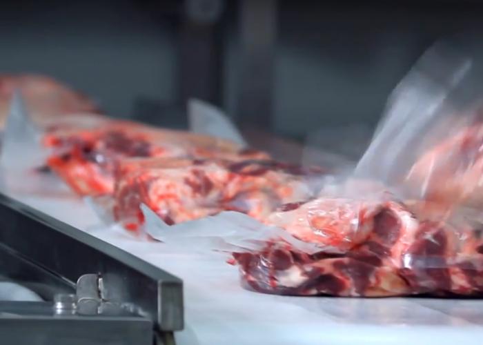 2025 он гарснаас хойш 56 мянган тонн мах экспортолжээ