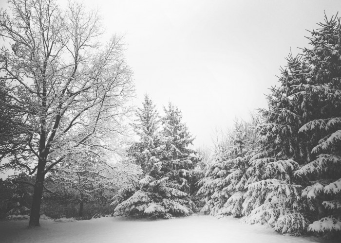 Цас орж, говь, тал, хээрийн нутгаар салхи, шуургатай байхыг анхаарууллаа