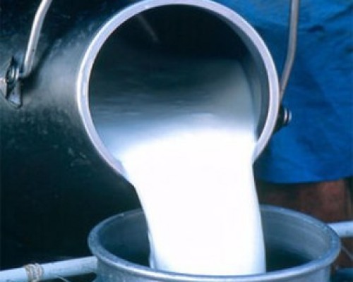 Ирэх онд нийслэлийн 1-5 дугаар ангийн 189 мянган хүүхдийг сүү хөтөлбөрт хамруулна