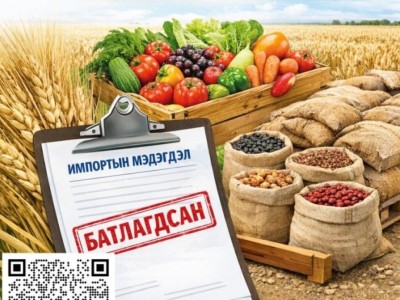 Улсын хилээр ургамал, тэдгээрийн гаралтай түүхий эд, бүтээгдэхүүн нэвтрүүлэхдээ дараах журмыг баримтална