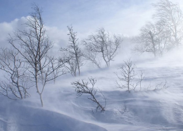 Өнөөдөр зүүн аймгуудын нутгийн зүүн хэсгээр цас орж, явган шуурга шуурна