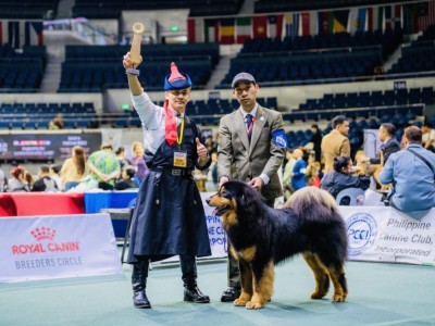 Монгол банхар Ази тивийн аварга боллоо