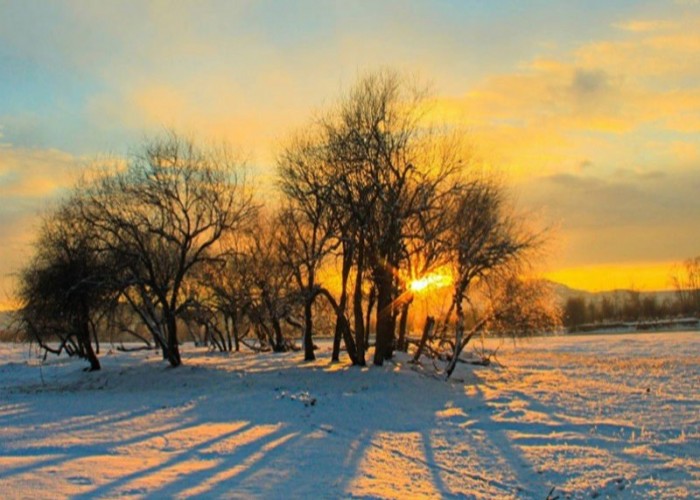 Өнөөдөр нийт нутгаар цаг агаар тогтуун, хүйтний эрч суларна