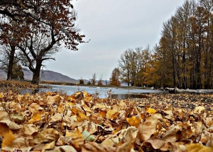 Зарим нутгаар салхи шуургатай байхыг анхааруулж байна