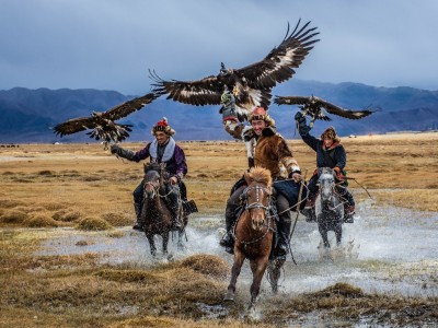 "Бүргэдийн баяр-2026" 3 сарын 7-8-ны өдрүүдэд болно