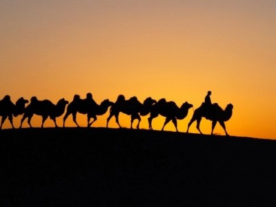 “Монгол тэмээний өдөрлөг” Лондон хотод болно