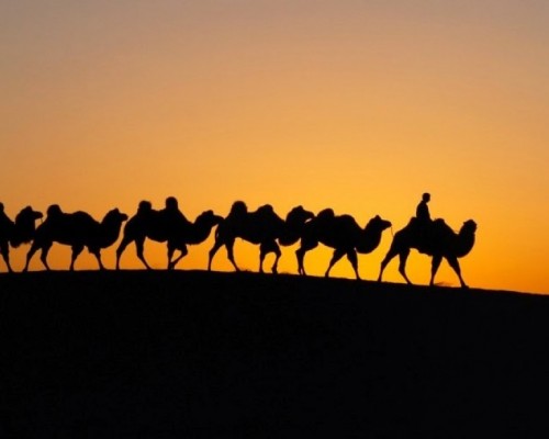 “Монгол тэмээний өдөрлөг” Лондон хотод болно