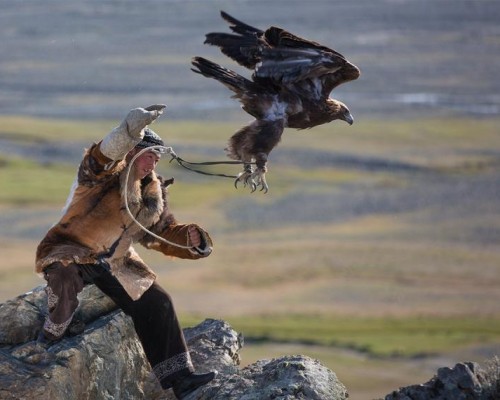 3 дугаар сарын 7,8-ны өдрүүдэд "Бүргэдийн баяр" болно