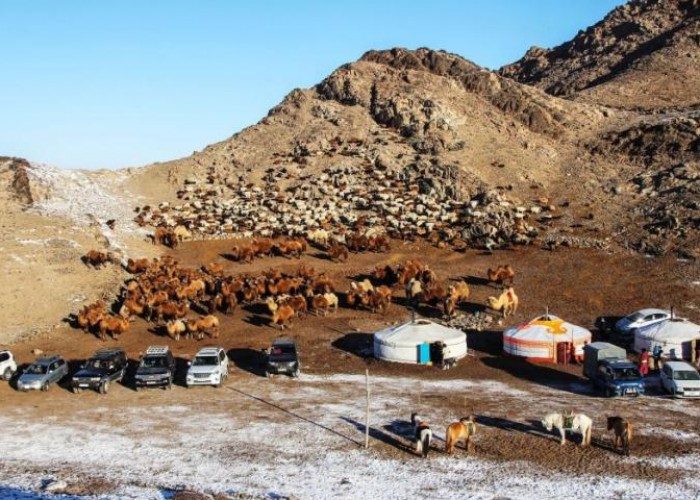 Гэрээсээ согтуу гарсан малчныг хээрээс эсэн мэнд олжээ