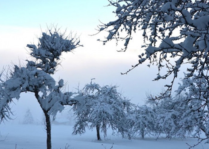 Өнөөдөр Хангайн уулархаг нутгаар бороо, нойтон цас орж, ихэнх нутгаар сэрүүснэ